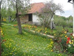 IG-ZLATIBOR-Mackat