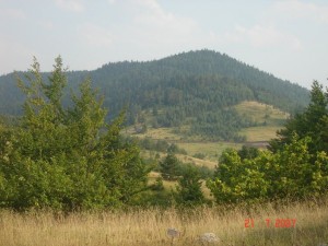 IG-ZLATIBOR-Najvisi-vrh-Tare-Zboriste-1544m