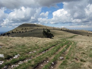 Zbevnica