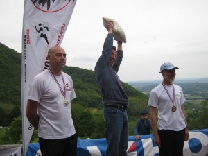7 Dario drugi