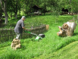 IMG_8223