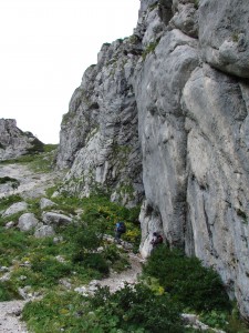 Grintovec-01-1