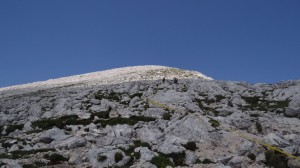 Grintovec-05