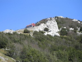 zavizan