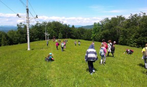 IV oš Varaždin na Petehovcu 16.05.15.