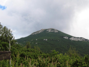 Vremscica